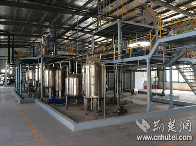 湖北省同心院士專家服務團服務獻智助企業創新發展