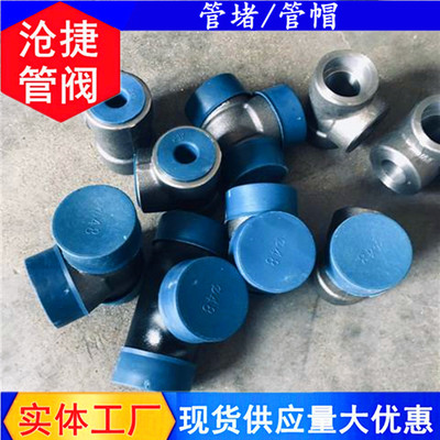 塑料管蓋信譽為重-河北滄捷(在線咨詢)-西寧塑料管蓋